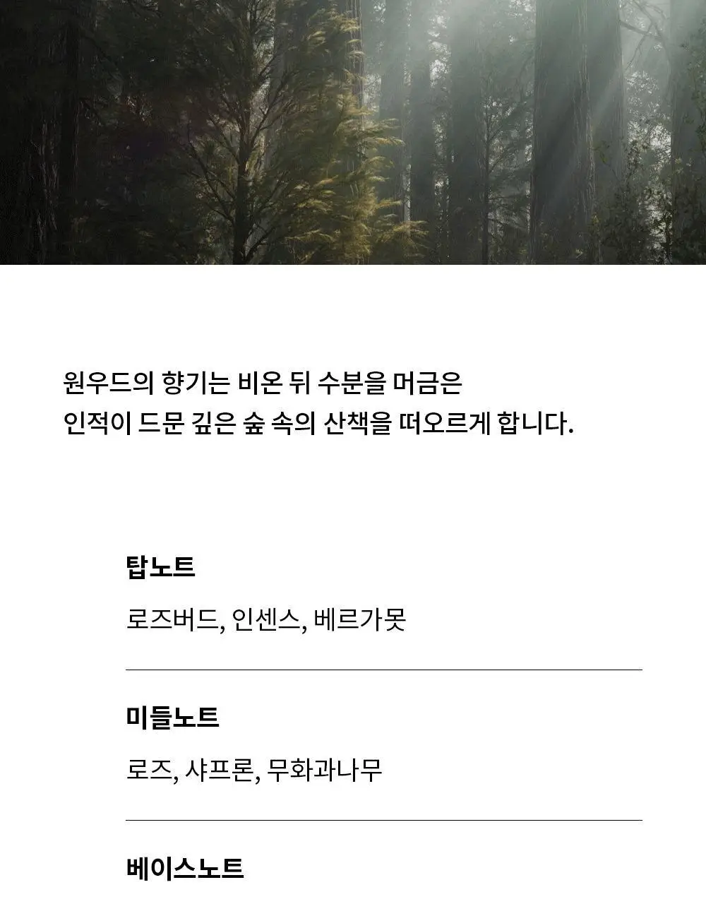 [무화과/우디]그라펜 타투 퍼퓸 원우드 롤온 11ml 상세페이지 4